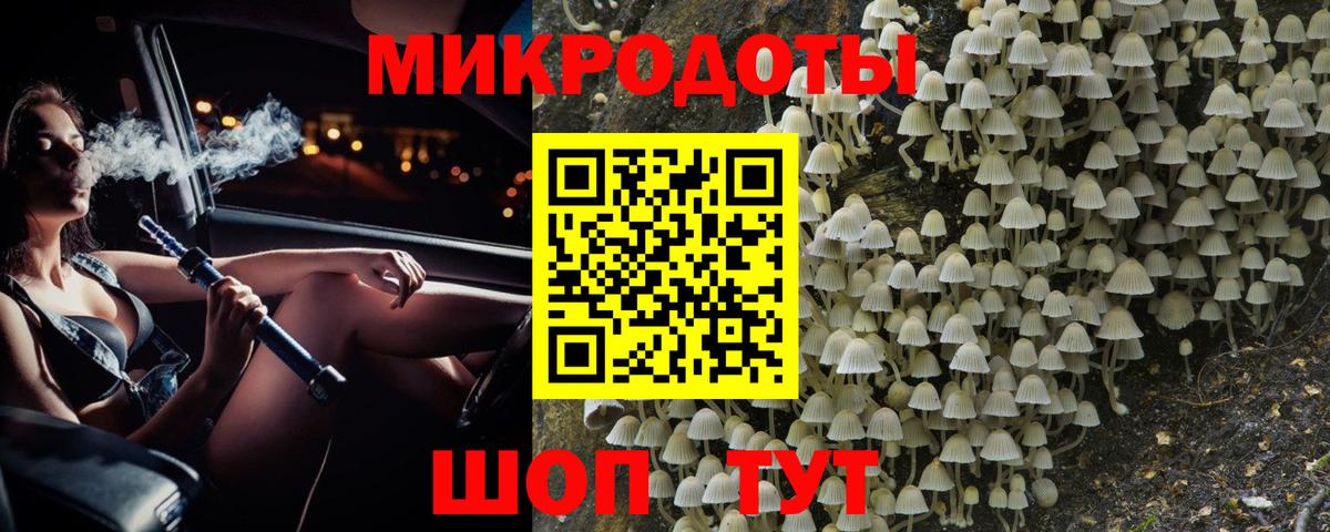 Троицк  Псилоцибиновые грибы Cubensis  Галлюциногенные грибы MAGIC MUSHROOMS  Вход с VPN 