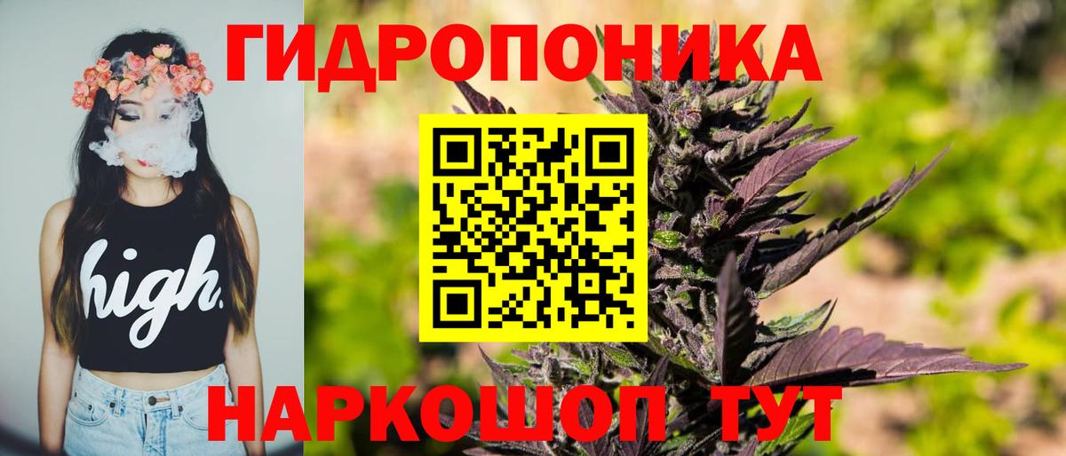 МАРИХУАНА сатива  Канабис Bruce Banner  Троицк  Вход с VPN  Конопля марихуана 